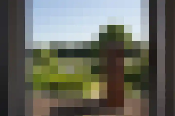 Mariastraat 18 Zuidzande thumbnail 20