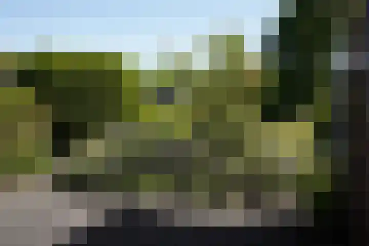 Mariastraat 18 Zuidzande thumbnail 27