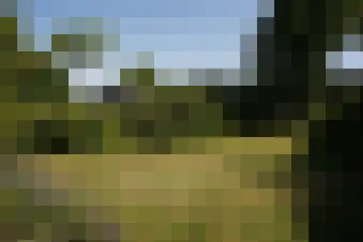 Mariastraat 18 Zuidzande thumbnail 30