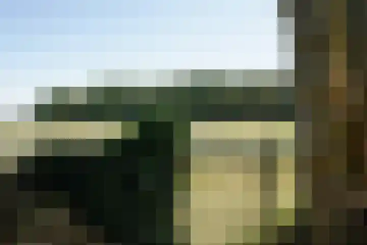 Mariastraat 18 Zuidzande thumbnail 31