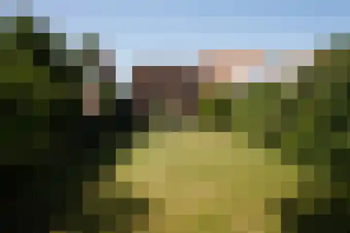 Mariastraat 18 Zuidzande thumbnail 32