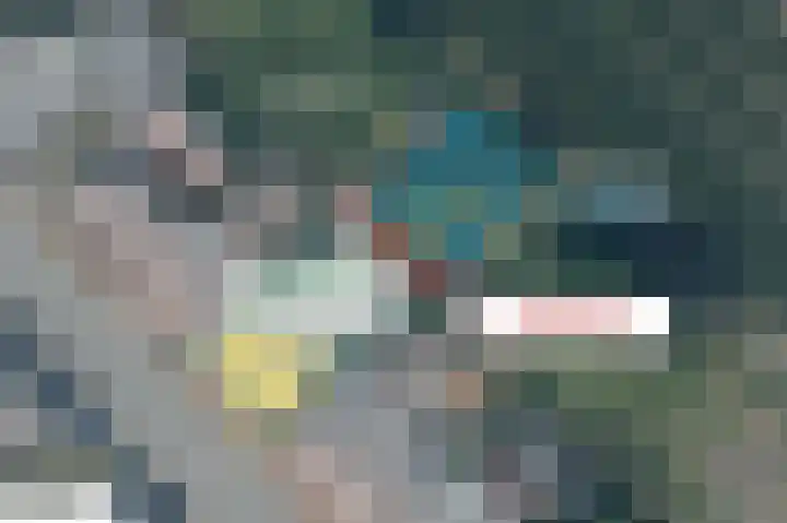 Mariastraat 18 Zuidzande thumbnail 36