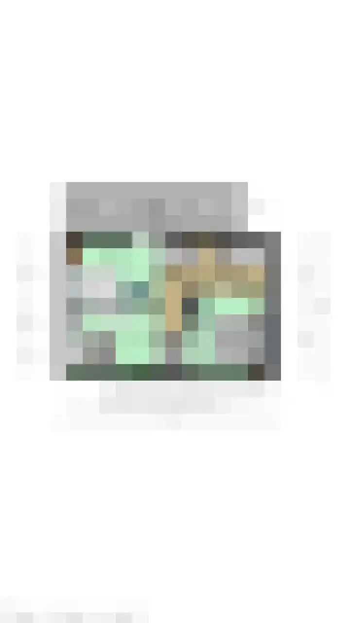 Mariastraat 18 Zuidzande thumbnail 39