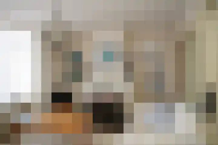 Mariastraat 18 Zuidzande thumbnail 4