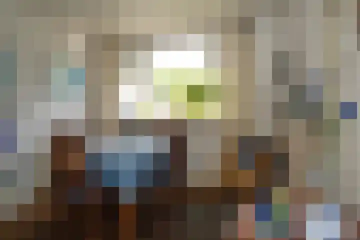 Mariastraat 18 Zuidzande thumbnail 8