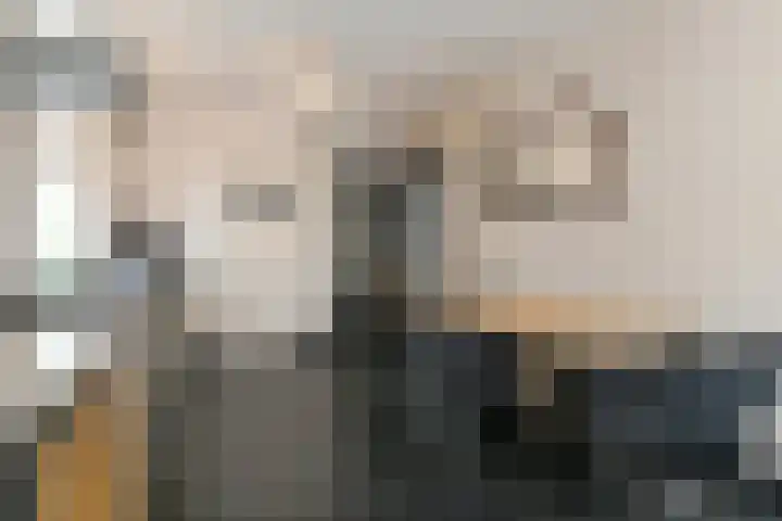 Mariastraat 19 Aarle-Rixtel thumbnail 13