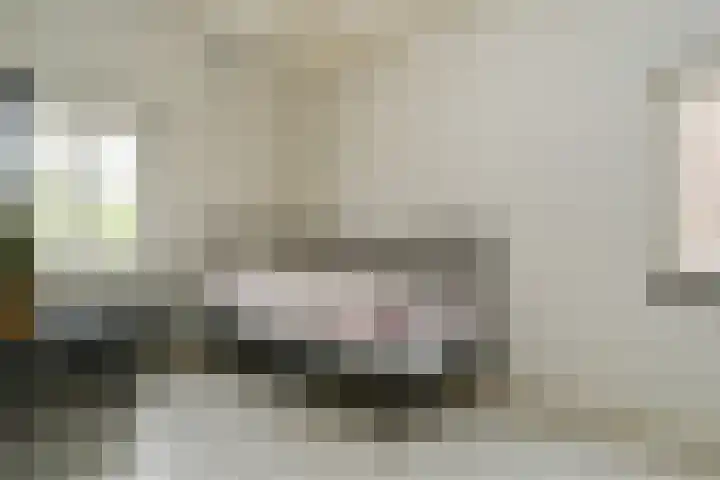Mariastraat 19 Aarle-Rixtel thumbnail 22