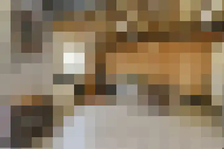 Mariastraat 19 Aarle-Rixtel thumbnail 28