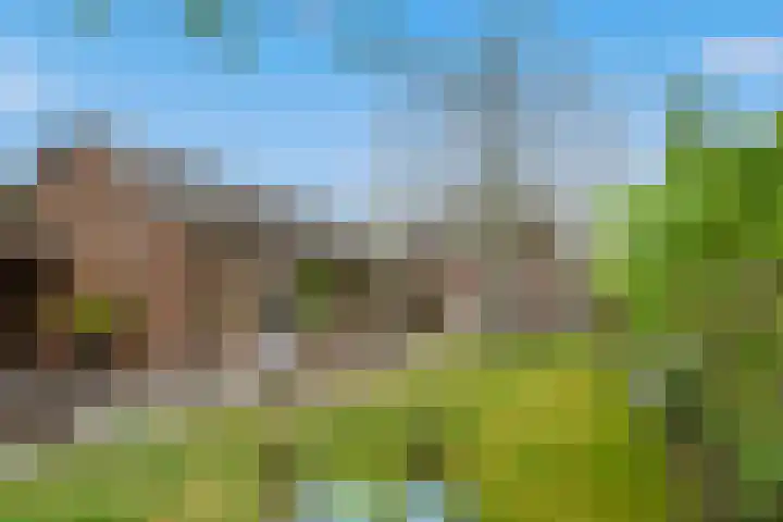 Mariastraat 19 Aarle-Rixtel thumbnail 34