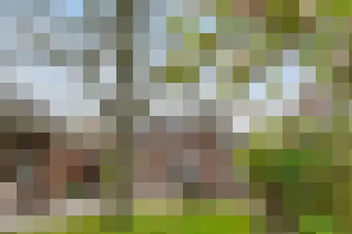 Mariastraat 19 Aarle-Rixtel thumbnail 36
