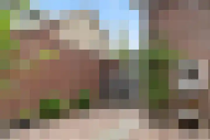 Mariastraat 19 Aarle-Rixtel thumbnail 37