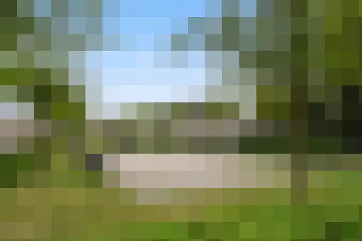 Mariastraat 19 Aarle-Rixtel thumbnail 38