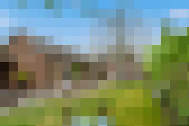 Mariastraat 19 Aarle-Rixtel thumbnail 4