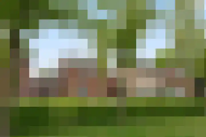 Mariastraat 19 Aarle-Rixtel thumbnail 5
