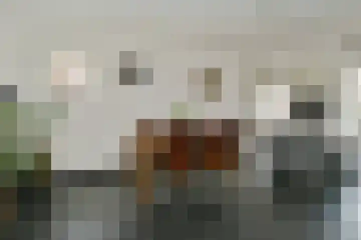 Mariastraat 19 Aarle-Rixtel thumbnail 6