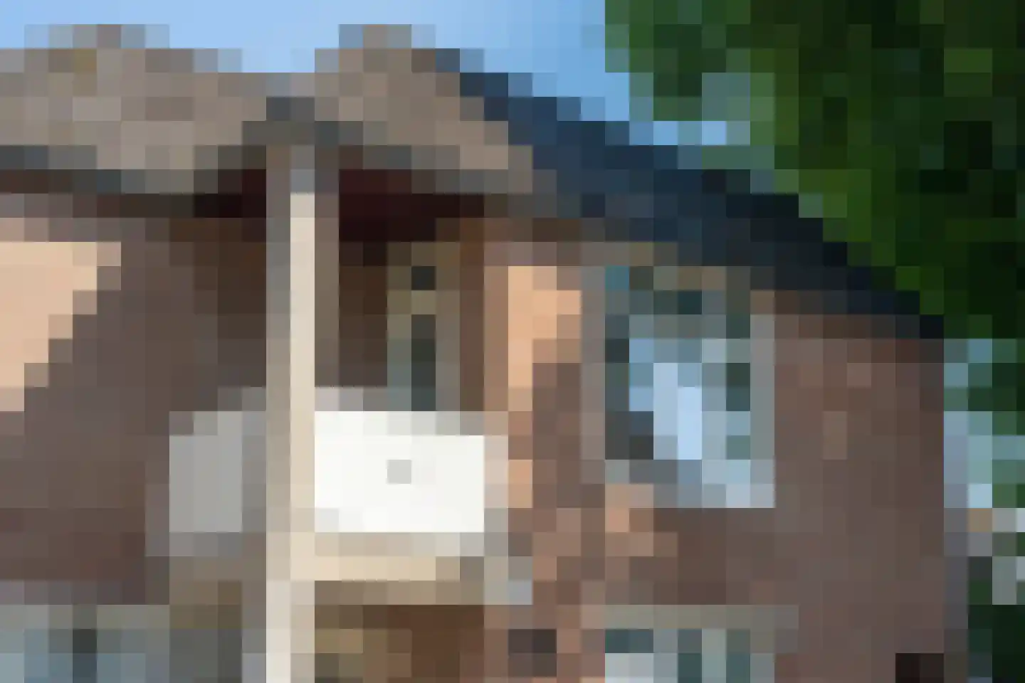 Mariastraat 19 Bussum thumbnail 7