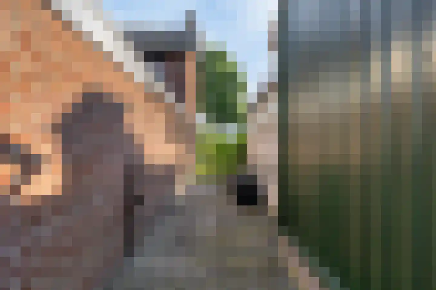 Mariastraat 19 Mariahout thumbnail 54