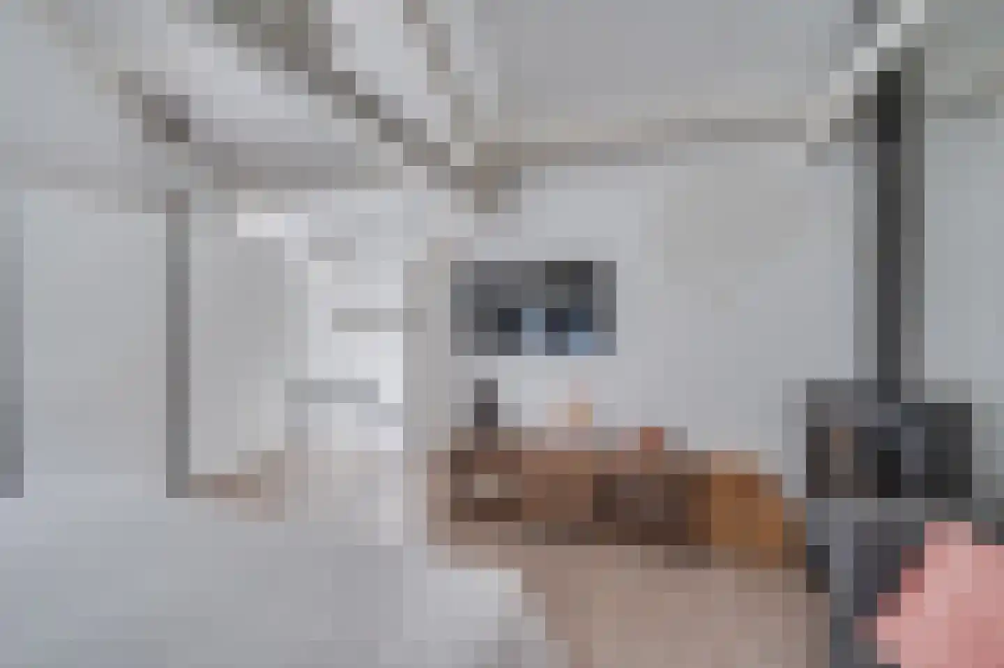Mariastraat 2 A Venlo thumbnail 20