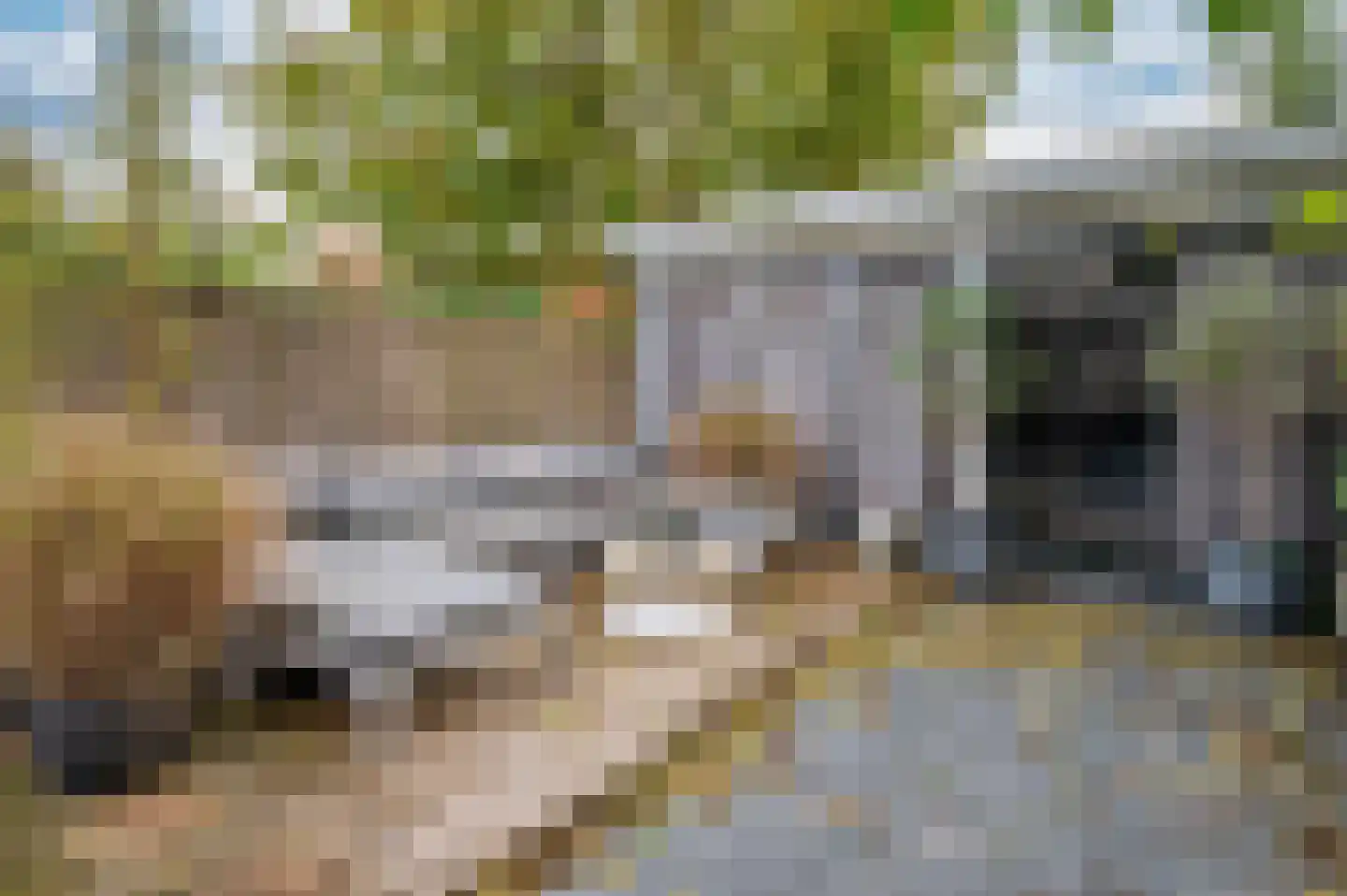 Mariastraat 2 A Venlo thumbnail 24