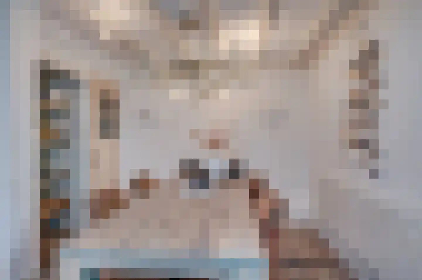 Mariastraat 2 A Venlo thumbnail 8