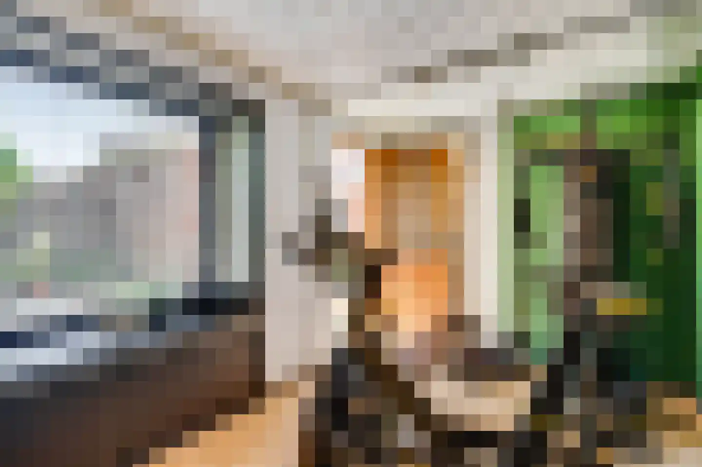 Mariastraat 2 Beek thumbnail 13