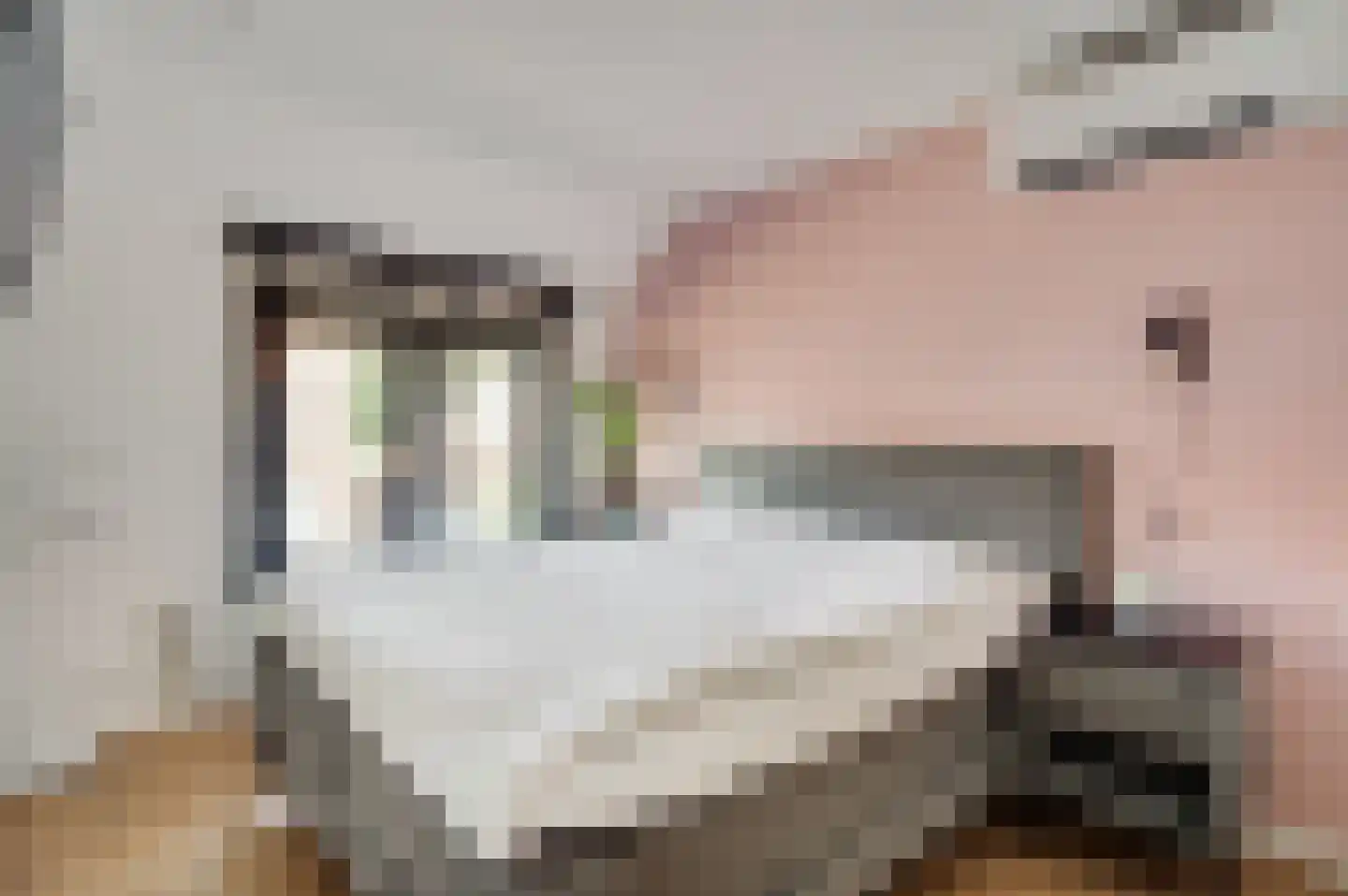 Mariastraat 2 Beek thumbnail 15
