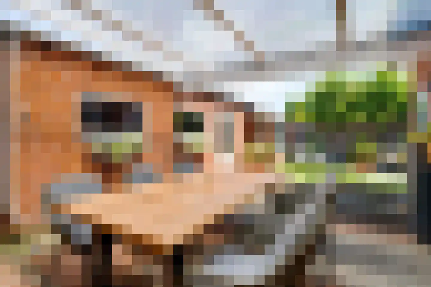 Mariastraat 2 Beek thumbnail 21