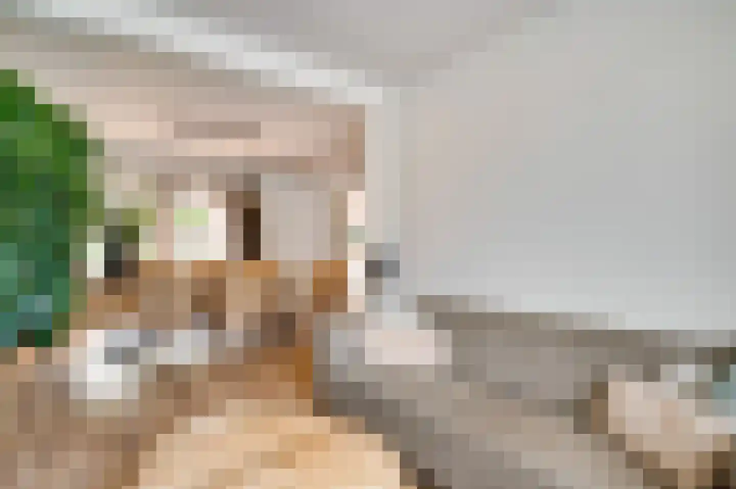 Mariastraat 2 Beek thumbnail 9