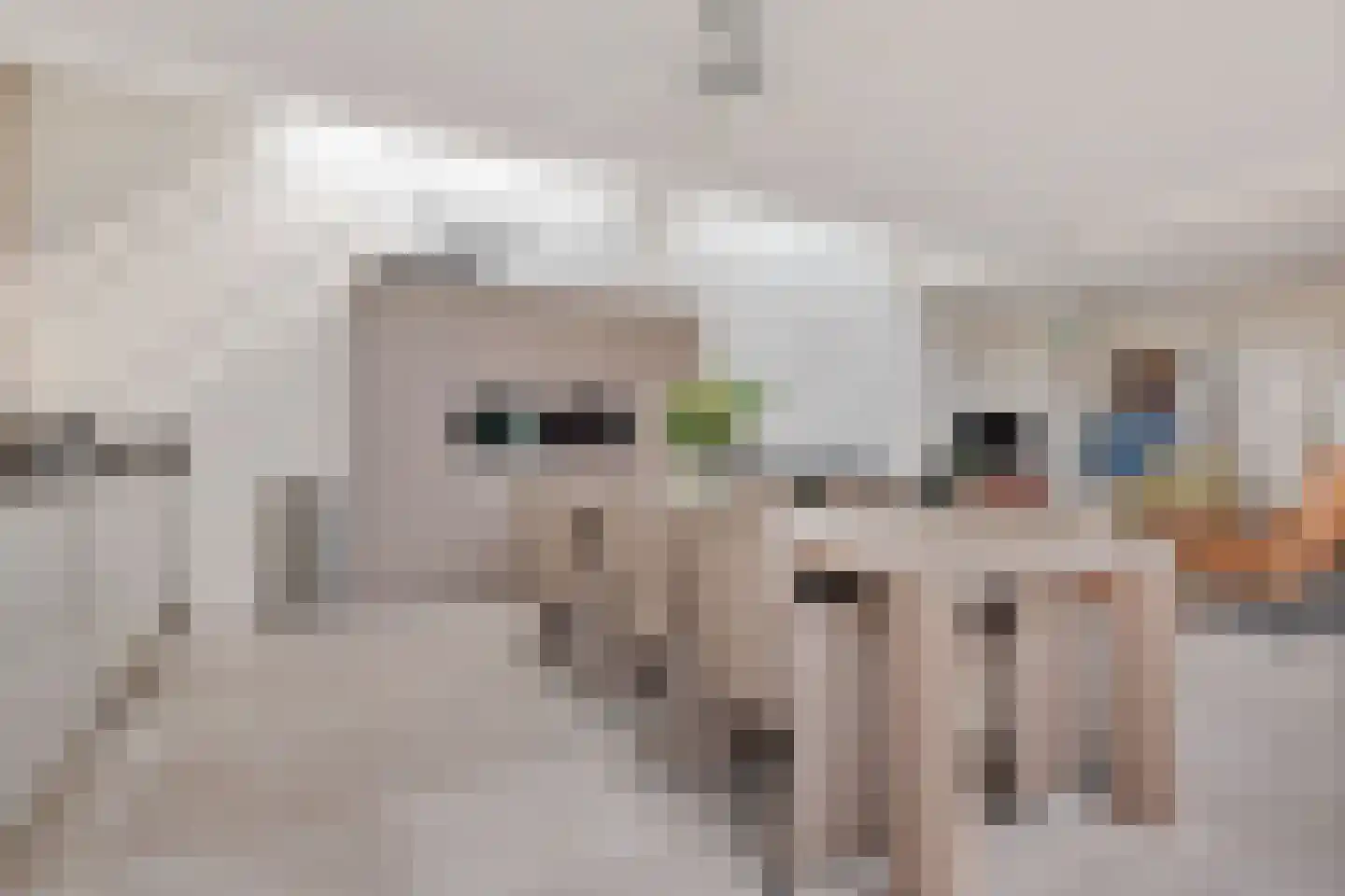 Mariastraat 2 Rijen thumbnail 17