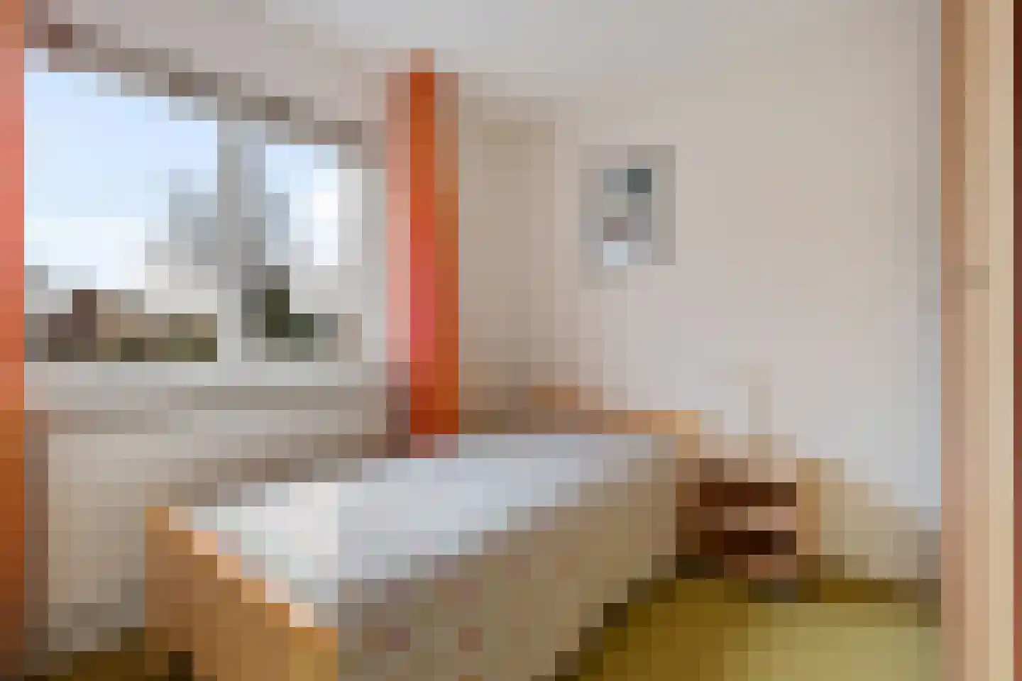 Mariastraat 2 Rijen thumbnail 25