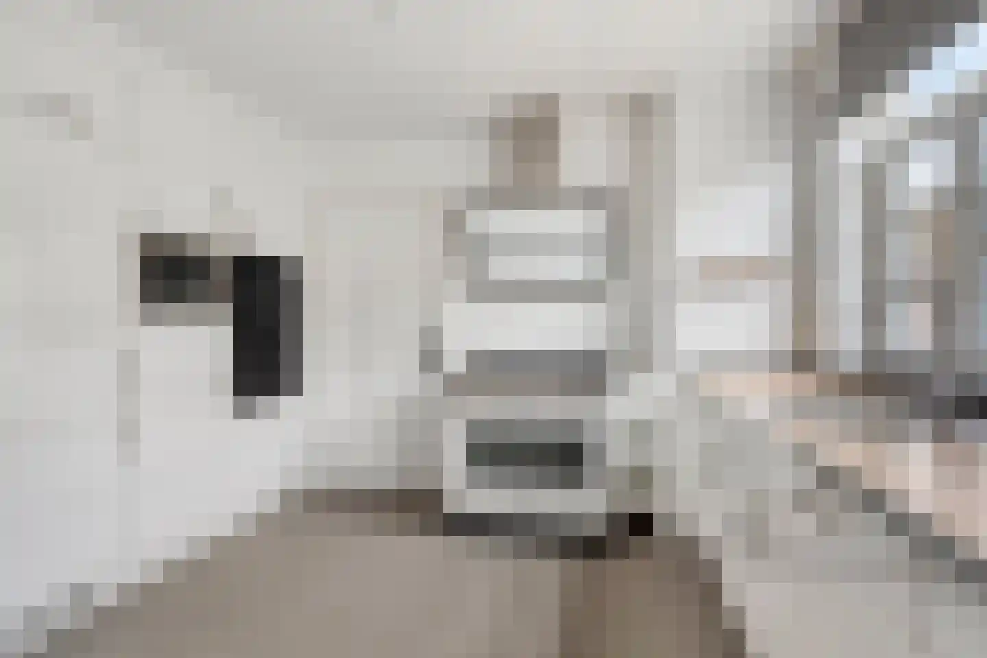 Mariastraat 20 Zuidzande thumbnail 14