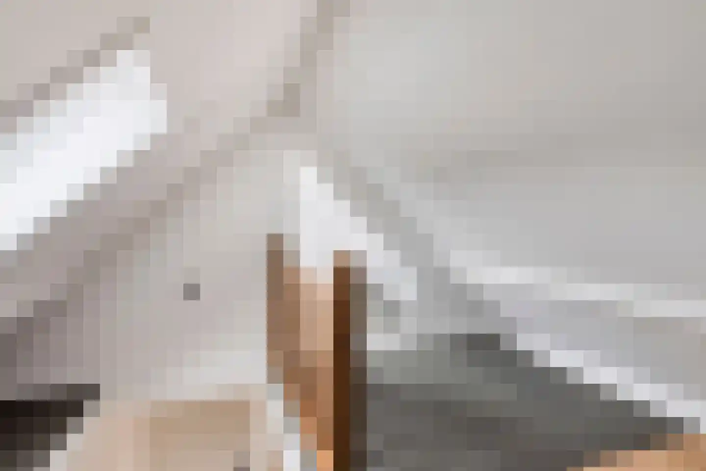 Mariastraat 20 Zuidzande thumbnail 25