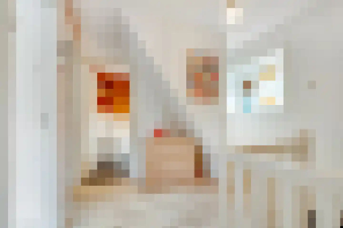 Mariastraat 22 Soest thumbnail 28