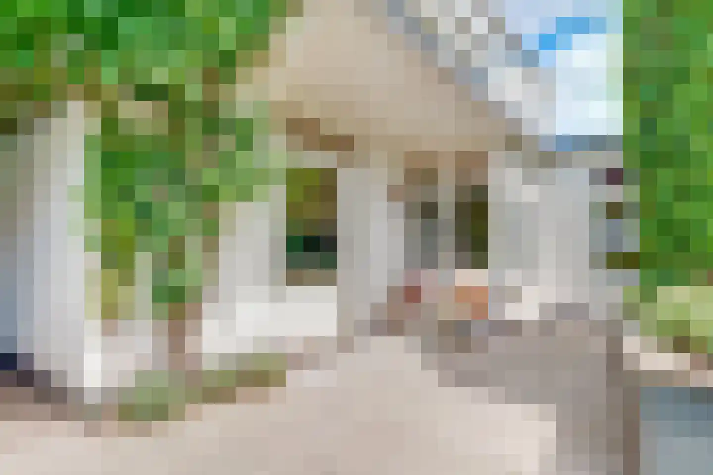 Mariastraat 22 Soest thumbnail 41