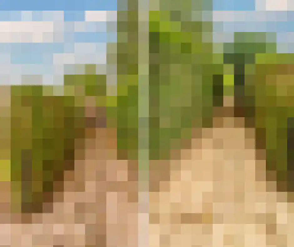 Mariastraat 25 Beek thumbnail 25