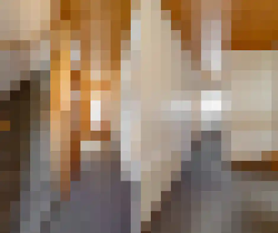 Mariastraat 25 Beek thumbnail 4