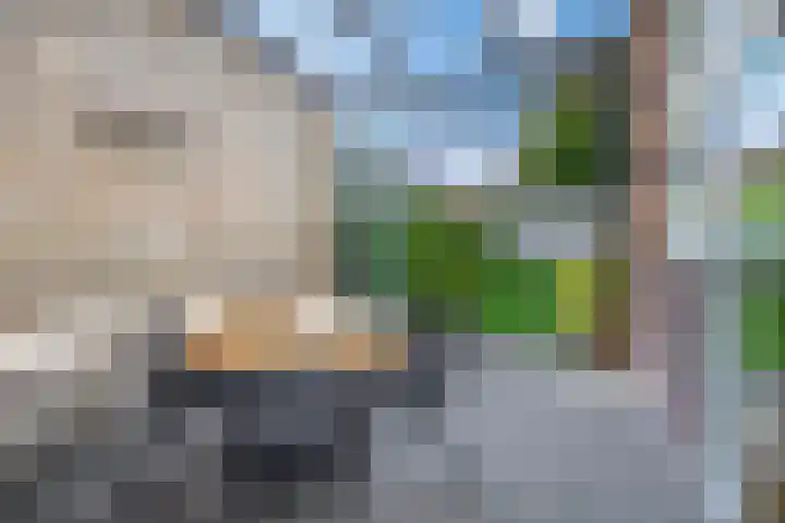 Mariastraat 28 Venlo thumbnail 25