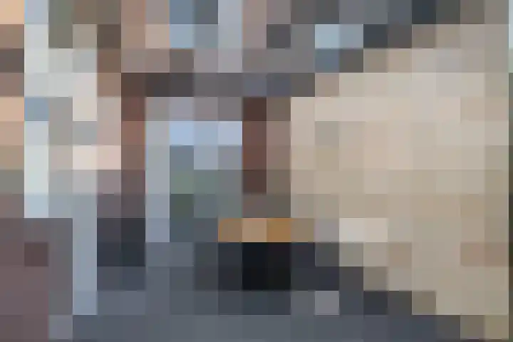 Mariastraat 28 Venlo thumbnail 26
