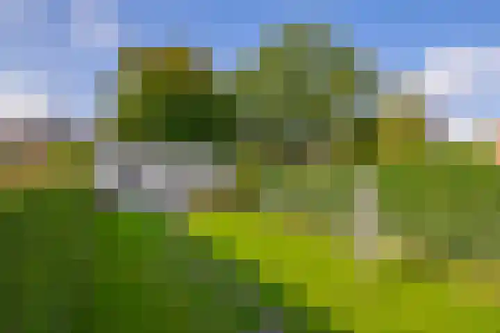 Mariastraat 28 Venlo thumbnail 27