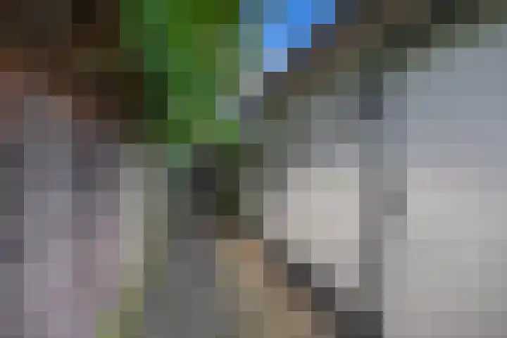 Mariastraat 28 Venlo thumbnail 30