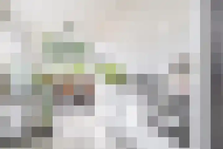 Mariastraat 28 Venlo thumbnail 6