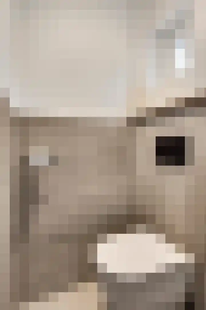 Mariastraat 3 Beek thumbnail 20