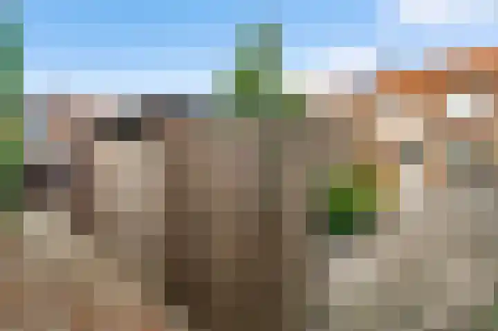 Mariastraat 3 Beek thumbnail 4