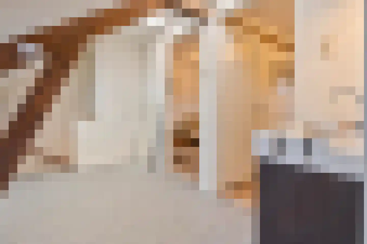 Mariastraat 32 Venlo thumbnail 20