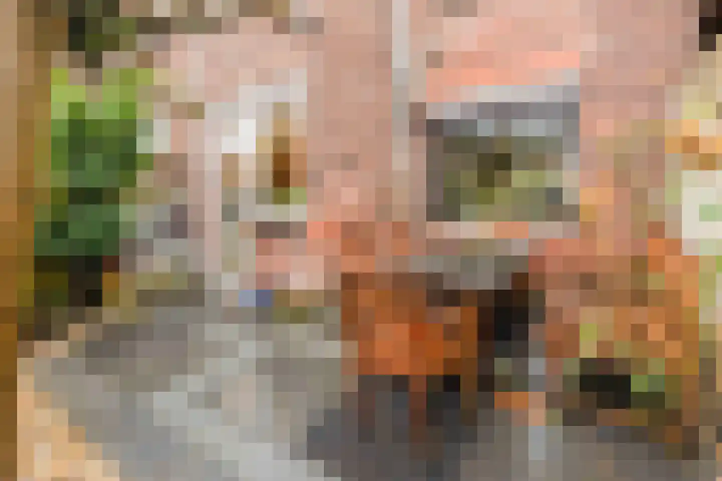 Mariastraat 32 Venlo thumbnail 26