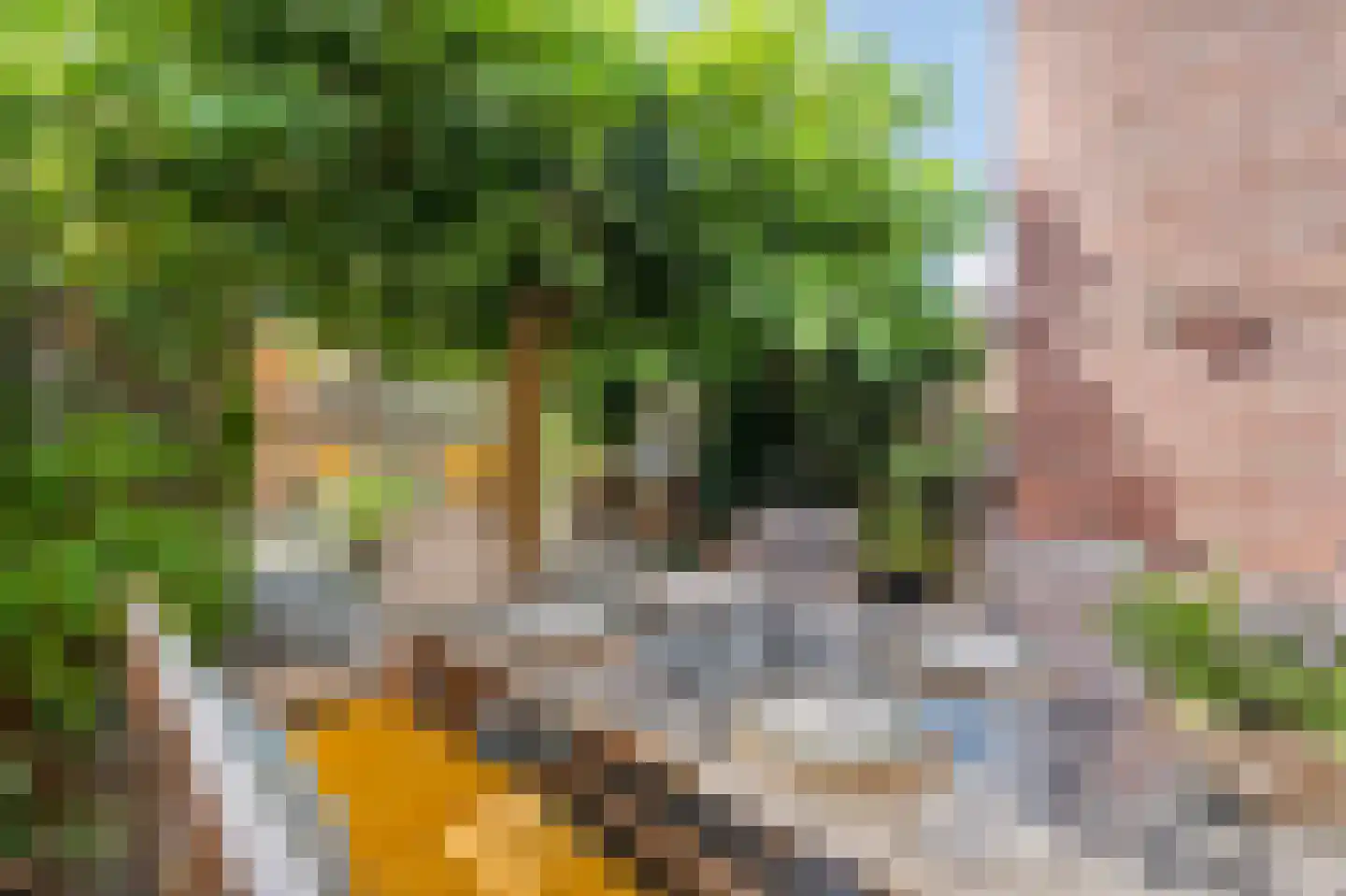 Mariastraat 32 Venlo thumbnail 26