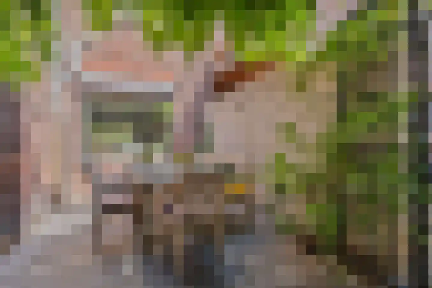 Mariastraat 32 Venlo thumbnail 27