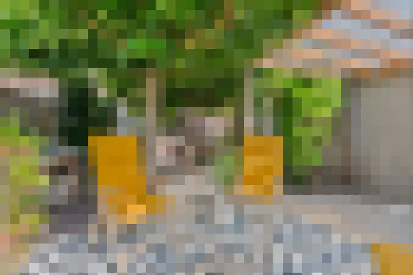 Mariastraat 32 Venlo thumbnail 30