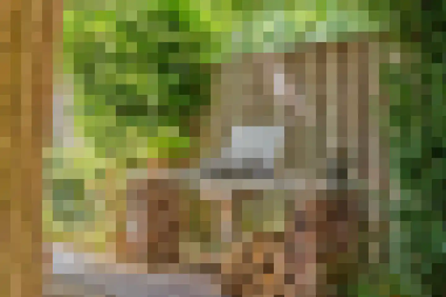 Mariastraat 32 Venlo thumbnail 32