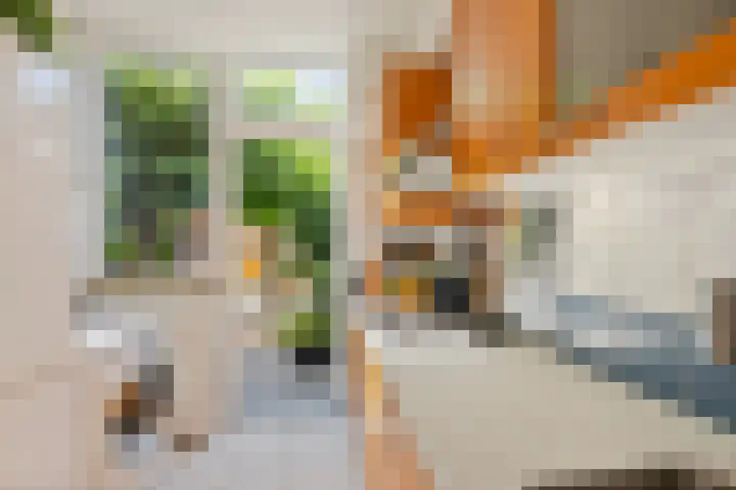 Mariastraat 32 Venlo thumbnail 9